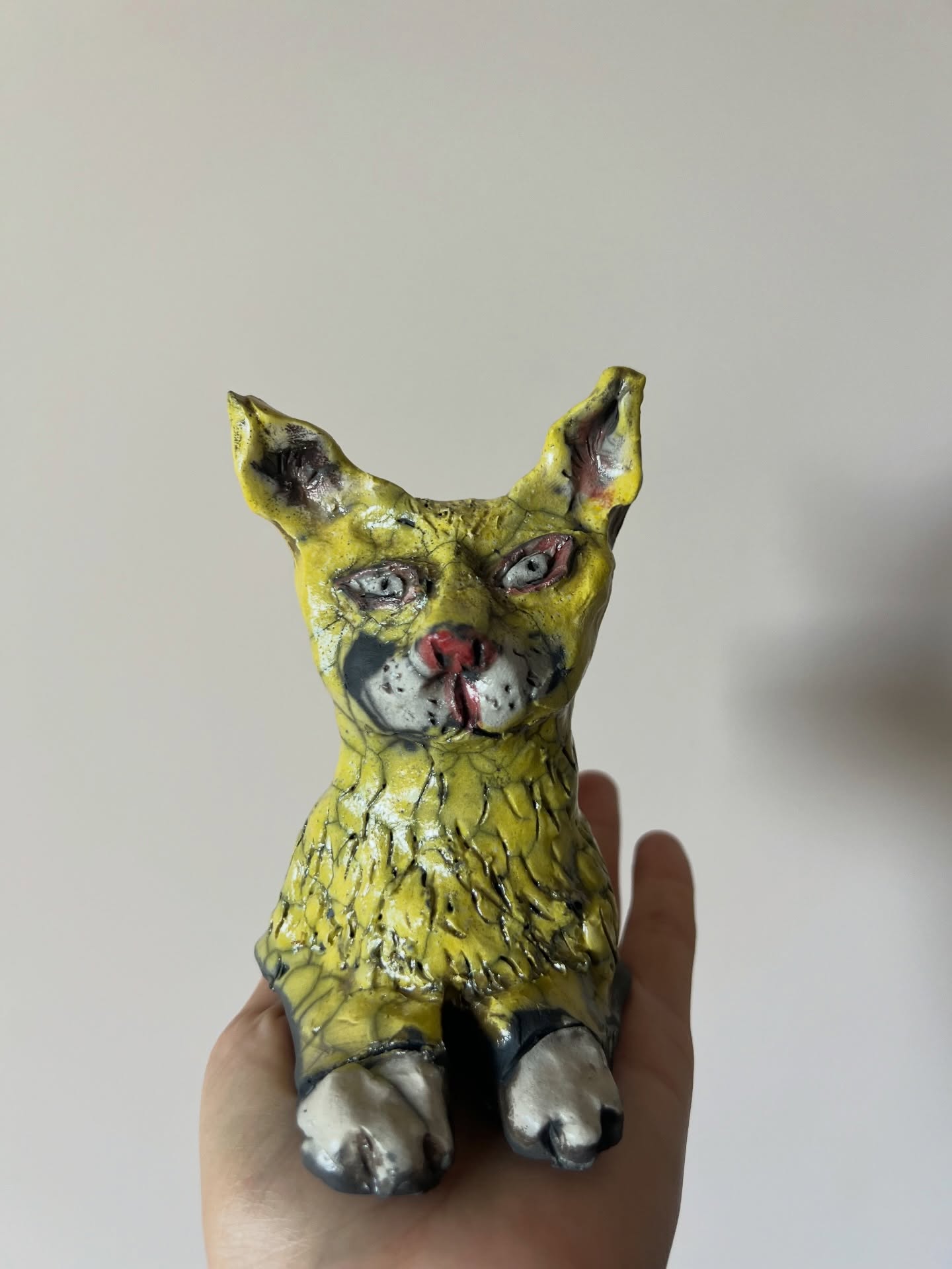 A curious little cat